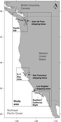 Night and Day: Diel Differences in Ship Strike Risk for Fin Whales (Balaenoptera physalus) in the California Current System